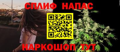 гашик Беслан