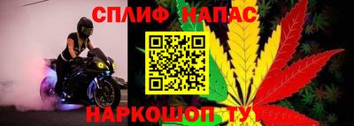 амф Заводоуковск